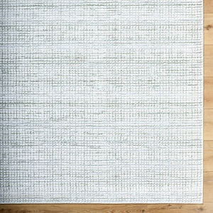 Hasson Modern Sage/Light Beige Area Rug