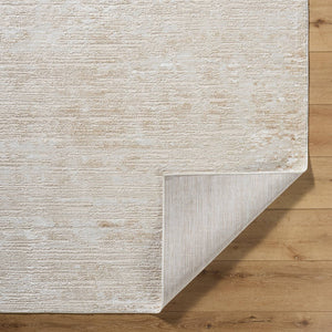 Barri Modern Beige/Tan Area Rug