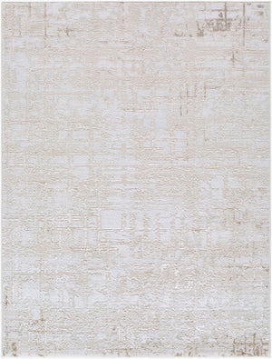 Naji Modern Beige Area Rug