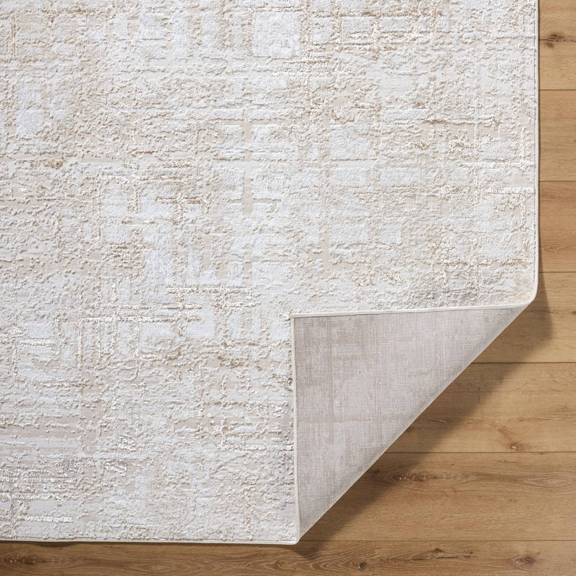 Naji Modern Beige Area Rug