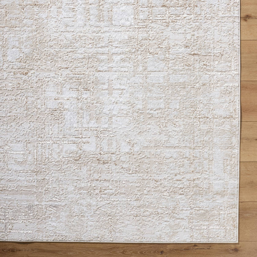Naji Modern Beige Area Rug