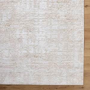 Naji Modern Beige Area Rug