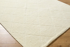 Tamera Global Ivory Washable Area Rug