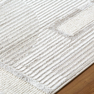 Candace Modern Light Gray Area Rug
