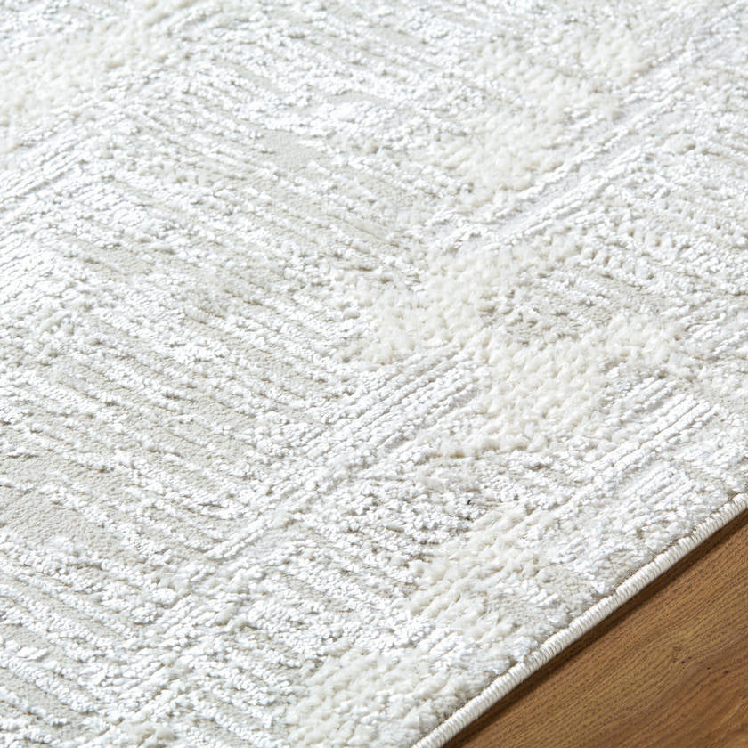 Iveth Modern Ivory Area Rug