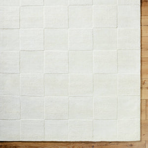 Deirdre Global Light Silver Area Rug