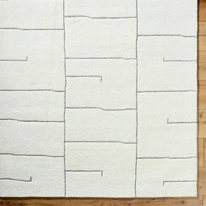 Adrien Global Light Silver Area Rug