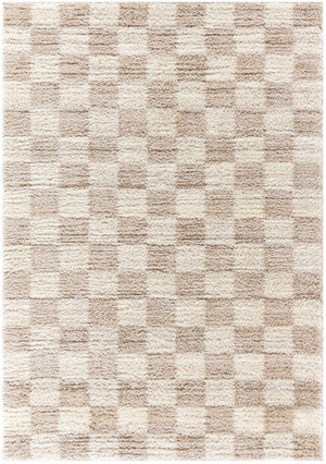 Yaakov Modern Medium Brown Area Rug