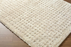 Latona Modern Light Brown Area Rug