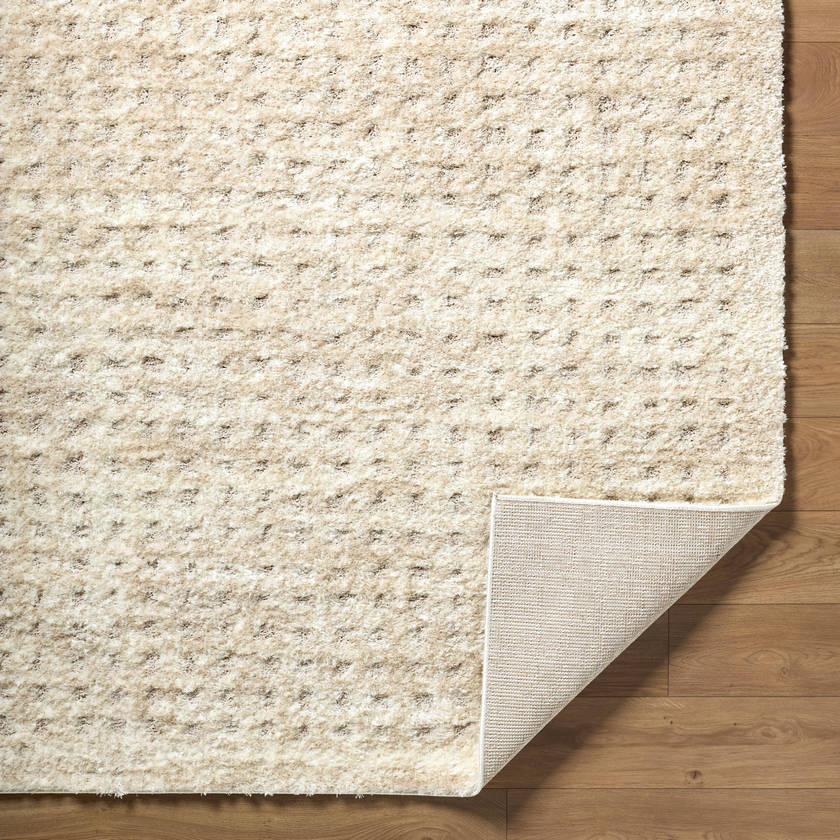 Latona Modern Light Brown Area Rug