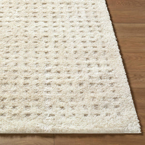 Latona Modern Light Brown Area Rug