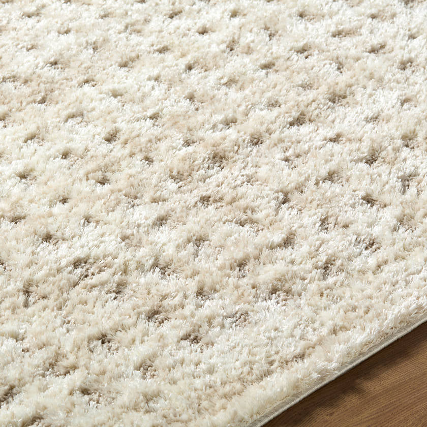Latona Modern Light Brown Area Rug