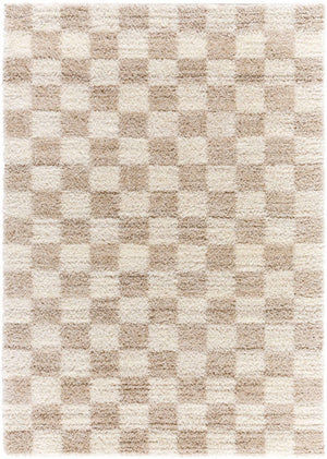 Yaakov Modern Dark Brown Area Rug