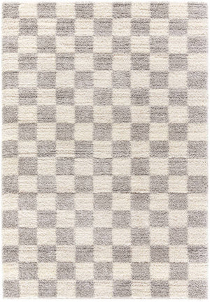 Yaakov Modern Light Gray Area Rug