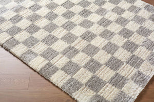 Yaakov Modern Light Gray Area Rug
