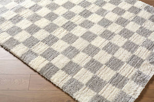 Yaakov Modern Light Gray Area Rug