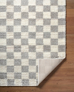 Yaakov Modern Light Gray Area Rug