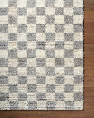 Yaakov Modern Light Gray Area Rug
