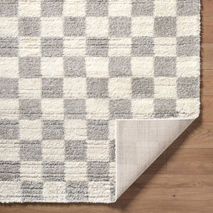 Yaakov Modern Light Gray Area Rug
