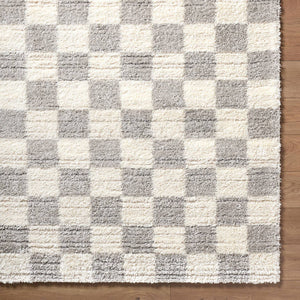Yaakov Modern Light Gray Area Rug