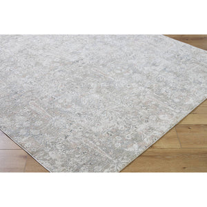 Betsaida Traditional Ash Area Rug