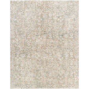 Betsaida Traditional Ash Area Rug