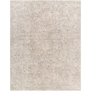 Reshonda Traditional Ash Area Rug