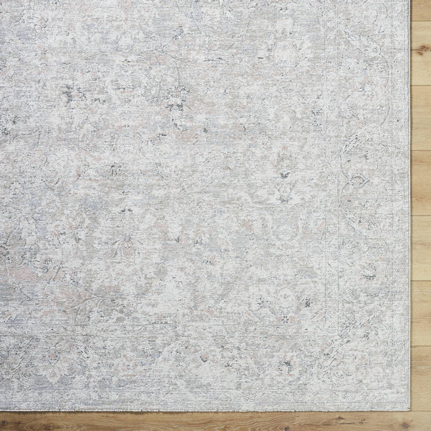 Reshonda Traditional Ash Area Rug