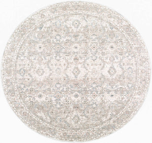 Trenna Traditional Light Silver Area Rug