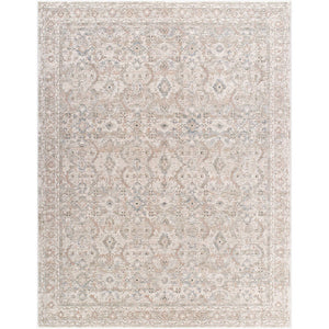Trenna Traditional Light Silver Area Rug