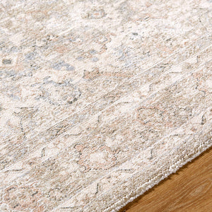 Trenna Traditional Light Silver Area Rug