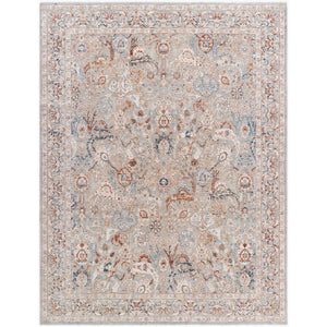 Qasim Traditional Beige/Teal Area Rug