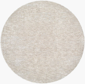 Sholom Traditional Light Silver Area Rug