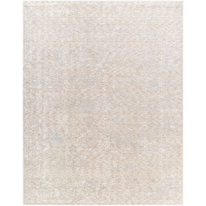 Sholom Traditional Light Silver Area Rug