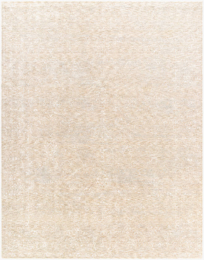 Sholom Traditional Light Silver Area Rug
