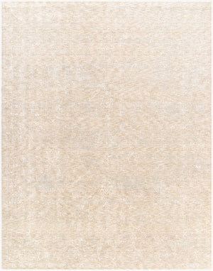 Sholom Traditional Light Silver Area Rug