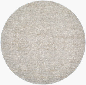Nery Traditional Slate Area Rug