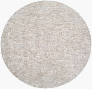 Janeth Traditional Sterling Grey Area Rug