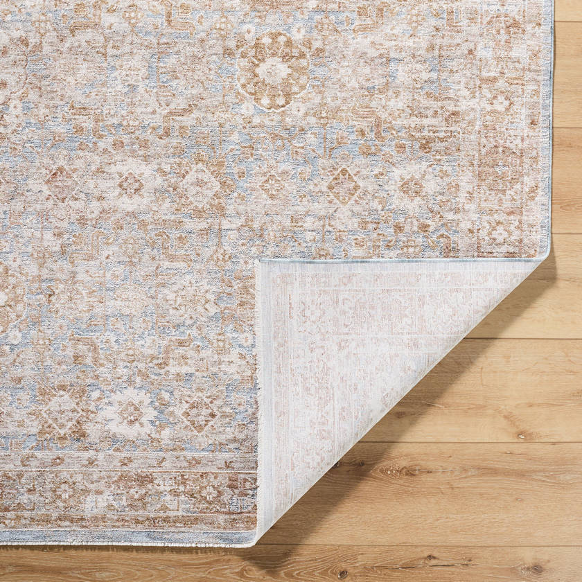Cassy Traditional Tan/Blue Area Rug