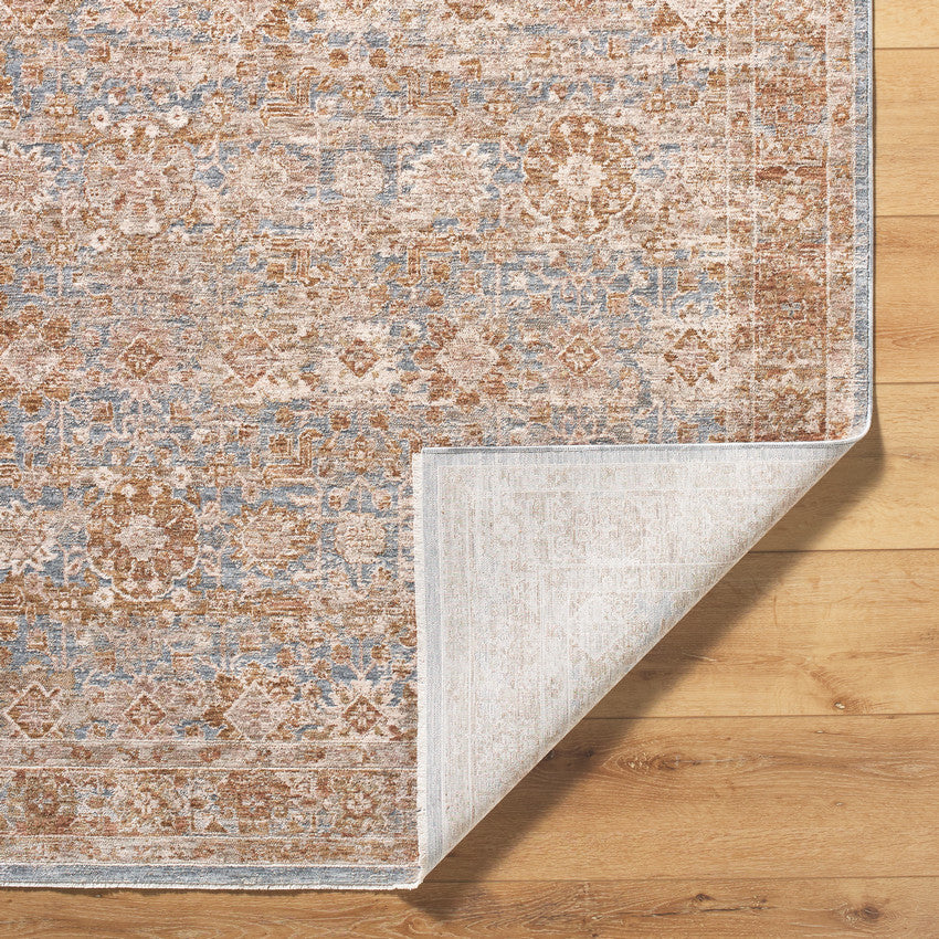 Cassy Traditional Tan/Blue Area Rug