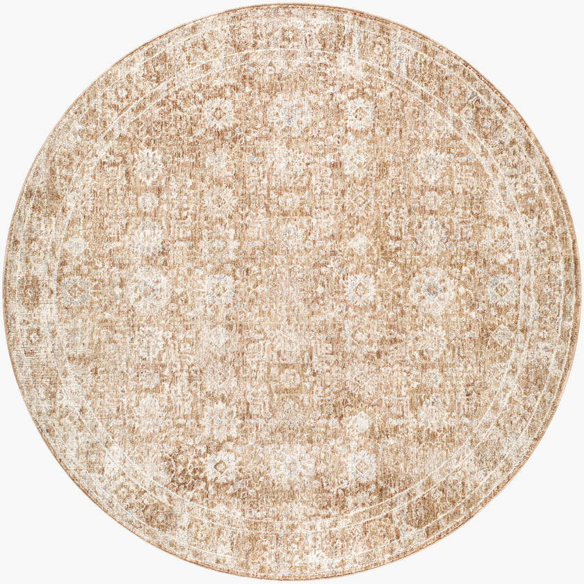 Cassy Traditional Light Brown Area Rug