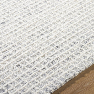 Andreas Modern Light Silver/Off-White Area Rug - Vivir x Livabliss