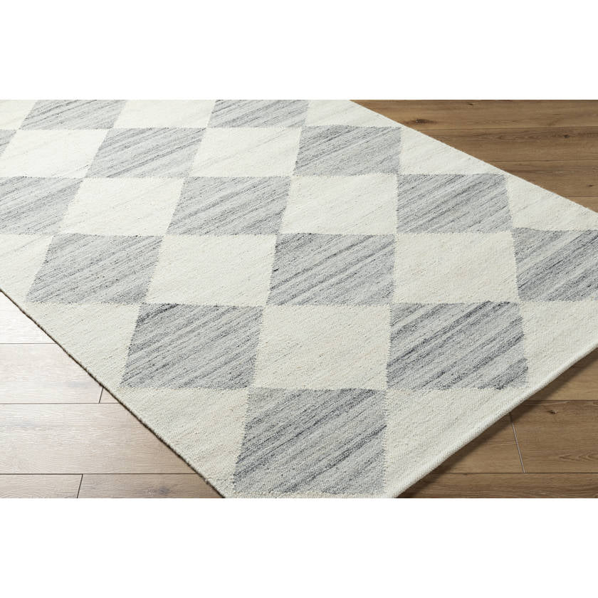 Antho Modern Light Silver Area Rug - Vivir x Livabliss