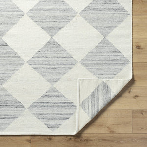 Antho Modern Light Silver Area Rug - Vivir x Livabliss