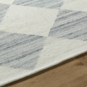 Antho Modern Light Silver Area Rug - Vivir x Livabliss