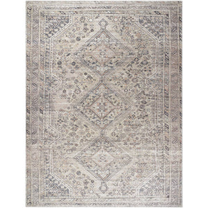 Eleni Traditional Gray Washable Area Rug - Vivir x Livabliss