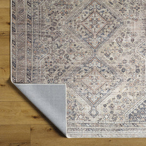 Eleni Traditional Gray Washable Area Rug - Vivir x Livabliss