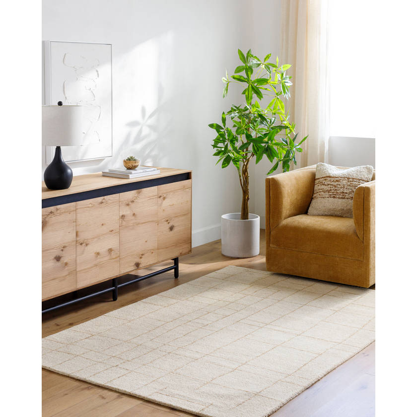 Ira Modern Ash Area Rug - Vivir x Livabliss