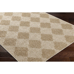 Kaya Cottage Tan Area Rug - Vivir x Livabliss