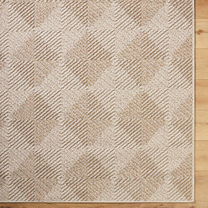 Kaya Cottage Tan Area Rug - Vivir x Livabliss